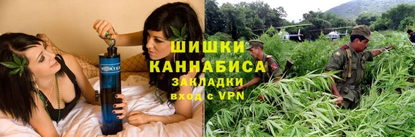 шишки Богданович
