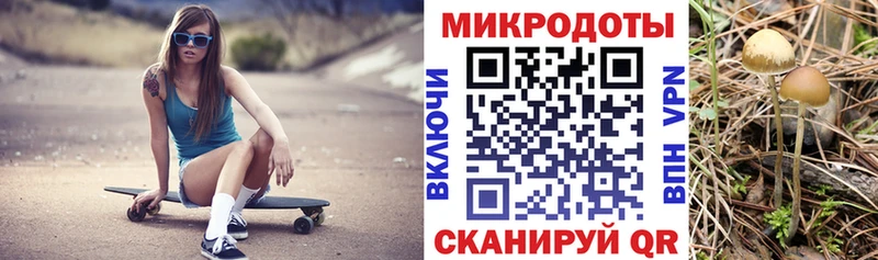darknet клад MEGA tor Сызрань Галлюциногенные грибы Psilocybine cubensis